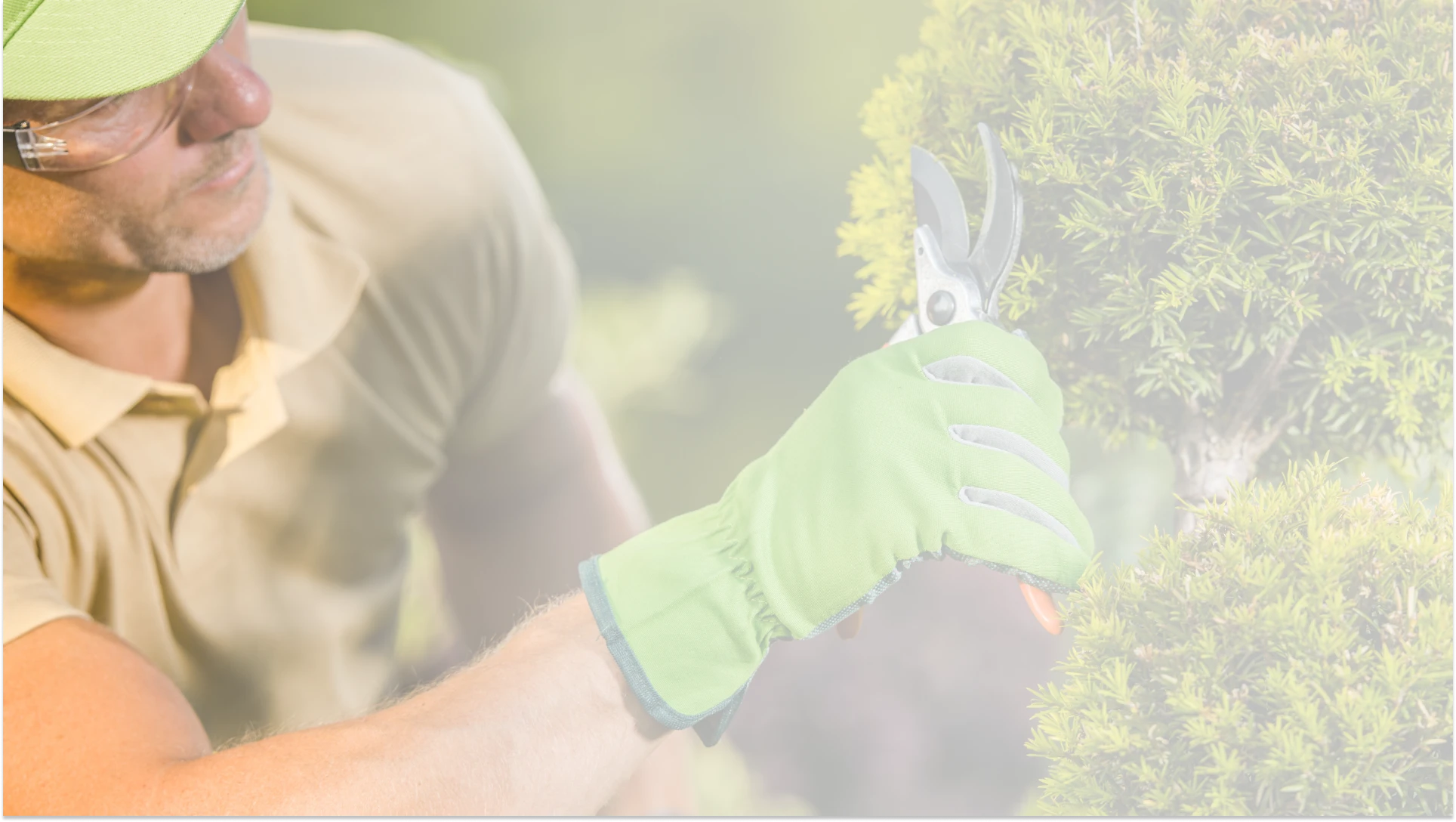 Landscape Transformation