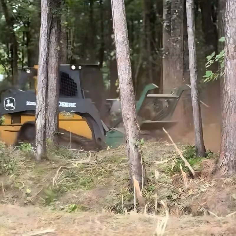 Heavy equipment removing bush from land in Ash, NC